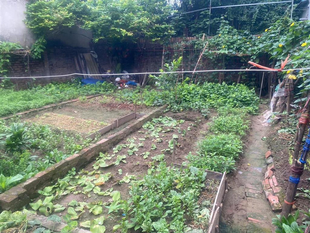 Bán đất 65m2 hai mặt thoáng view hồ công viên phố kim giang