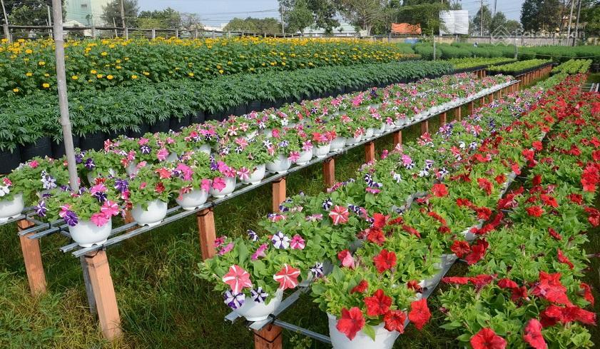 Nhà mp gần ngã tư ngọc hà lê hồng phong, vỉa hè rộng, kd đỉnh, 60m2 3t giá 32 tỷ,  hà 0936 168 ***