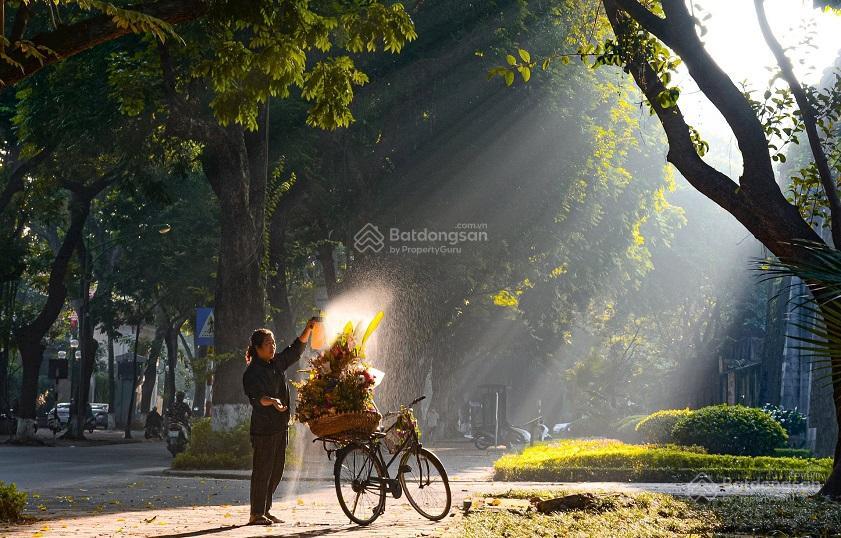 Nhà mp gần ngã tư phan đình phùng và bốt hàng đậu 97m2, kd đỉnh vỉa hè rộng giá 65tỷ,  0936 168 ***