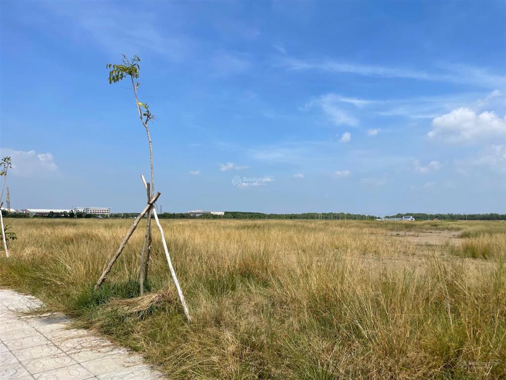 Bán 10.000m2 đất kcn gia thuận, tiền giang giá tốt, pháp lý đầy đủ, phù hợp xây xưởng, kho bãi, sx