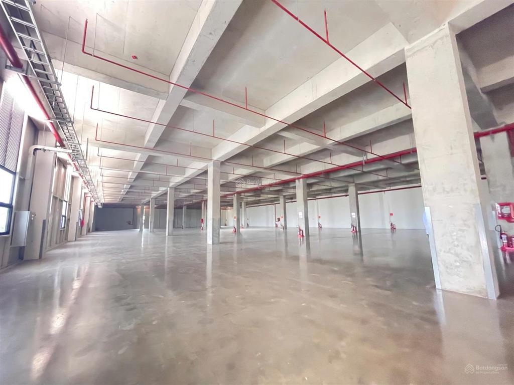 Cho thuê kho xưởng 11.000m²  pccc tự động  kcn tân kim, cần giuộc, long an