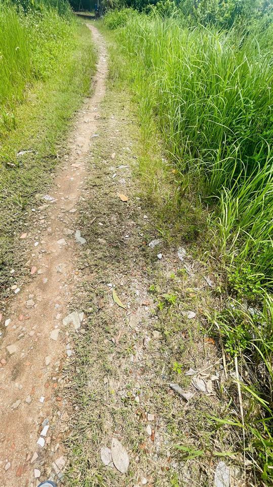 Bán đất 1003.7m2 giá cực rẻ tại long bình, hcm, 9,999 tỷ, shr, cách vinhomes 800m