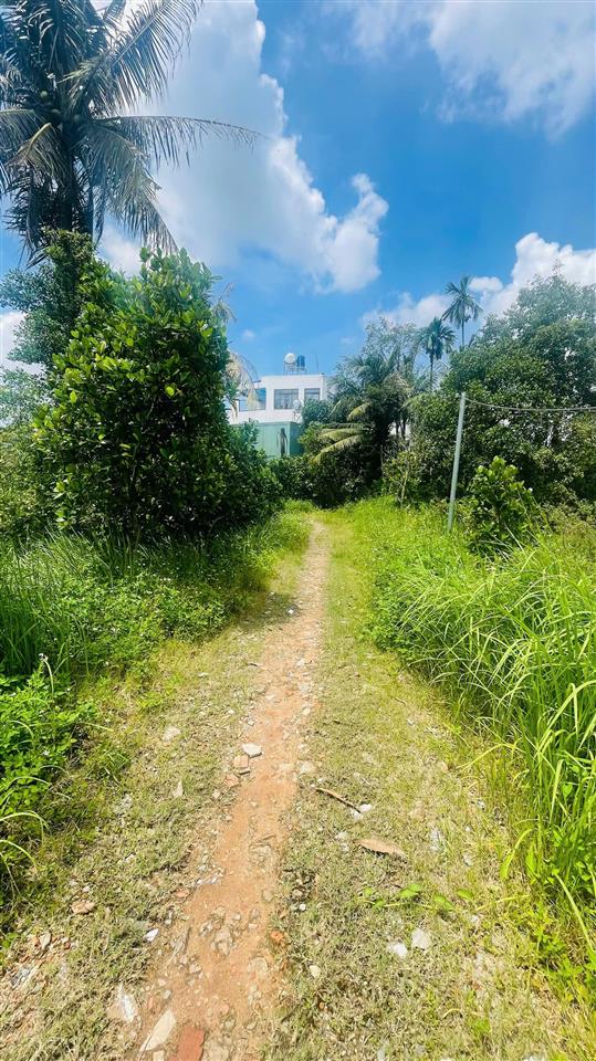 Bán đất 1003.7m2 giá cực rẻ tại long bình, hcm, 9,999 tỷ, shr, cách vinhomes 800m