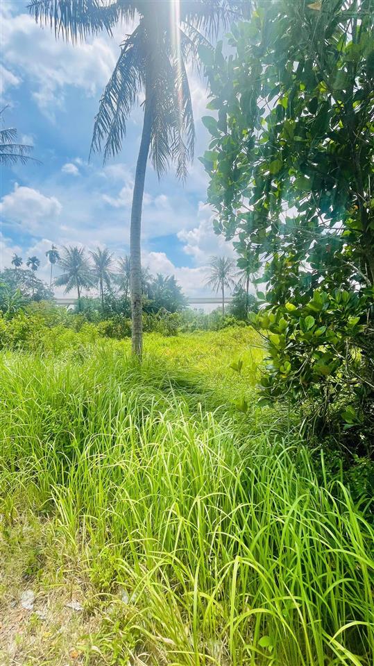 Bán đất 1003.7m2 giá cực rẻ tại long bình, hcm, 9,999 tỷ, shr, cách vinhomes 800m