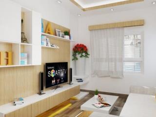 Cần cho thuê c/c idico q.tân phú, dt 65m2, 2pn+2wc, giá 8,5tr/th full nội thất