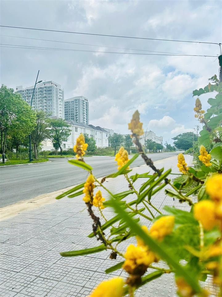 Hàng nổi bật biệt thự phú mỹ an, tp. huế