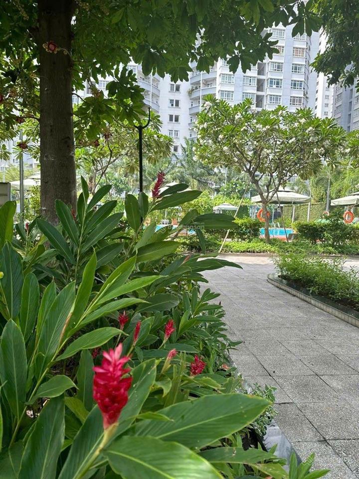 Cho thuê ch 2pn, 2wc tại newton residence, 20 triệu vnd, 75m2, hàng hiếm tại giá tốt