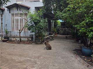 Biệt thự sân vườn gần tỉnh lộ 10 & lê đình cẩn, cạnh khu tên lửa  450m²  giá 33 tỷ