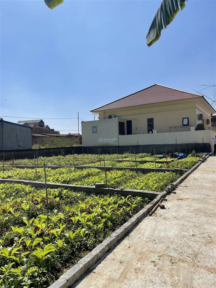 Bán mảnh đất 69.5m2 cách chợ đông tảo 200m, giá 25 tr/m2.  0961 694 ***