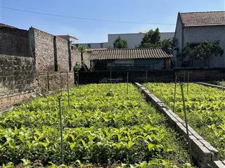 Bán mảnh đất 69m2 gần chợ đông tảo giá 25tr/m2,  0961 694 ***