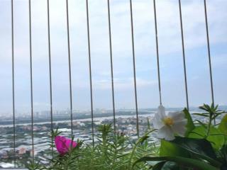 Bán căn 2 phòng ngủ toà s3 sky oasis tầng trung view sông hồng, giá 3.79 tỷ bao phí