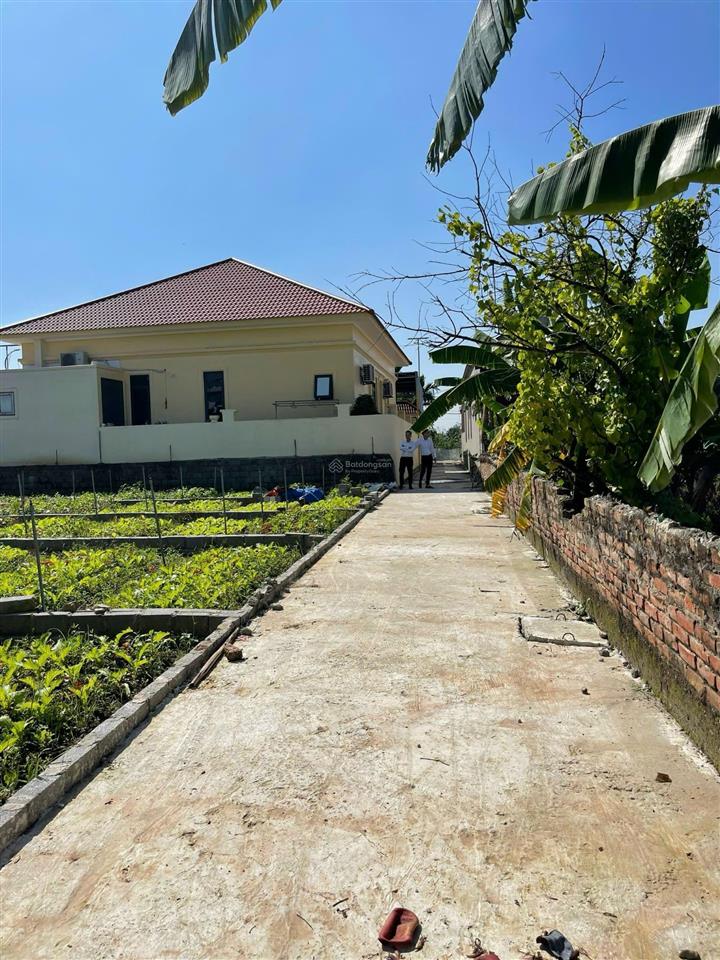 Bán mảnh đất 70m2 ngay cạnh chợ đông tảo gần vành đai 4, giá 23 tr/m2