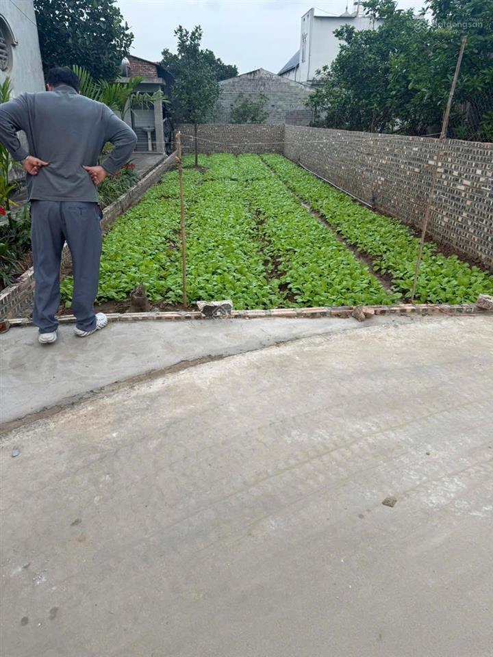 Bán 100m² đất đông tảo đường thông 3m giá 23,5tr/m2,  0925 988 ***