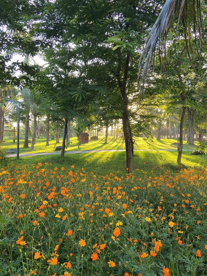 Bán căn 3 ngủ sp skyoasis 83m thông thuỷ giá 5.7 tỷ bao phí