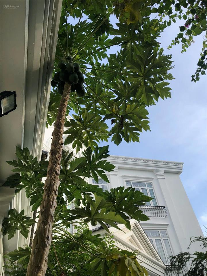 Cho thuê villa cao cấp khu đại an phường 9, vũng tàu