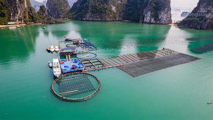 Siêu phẩm đất đùng 3.1ha ngay nhà máy hóa dầu long sơn 8.8tỷ cơ hội vàng cho nhà đầu tư nhạy bén