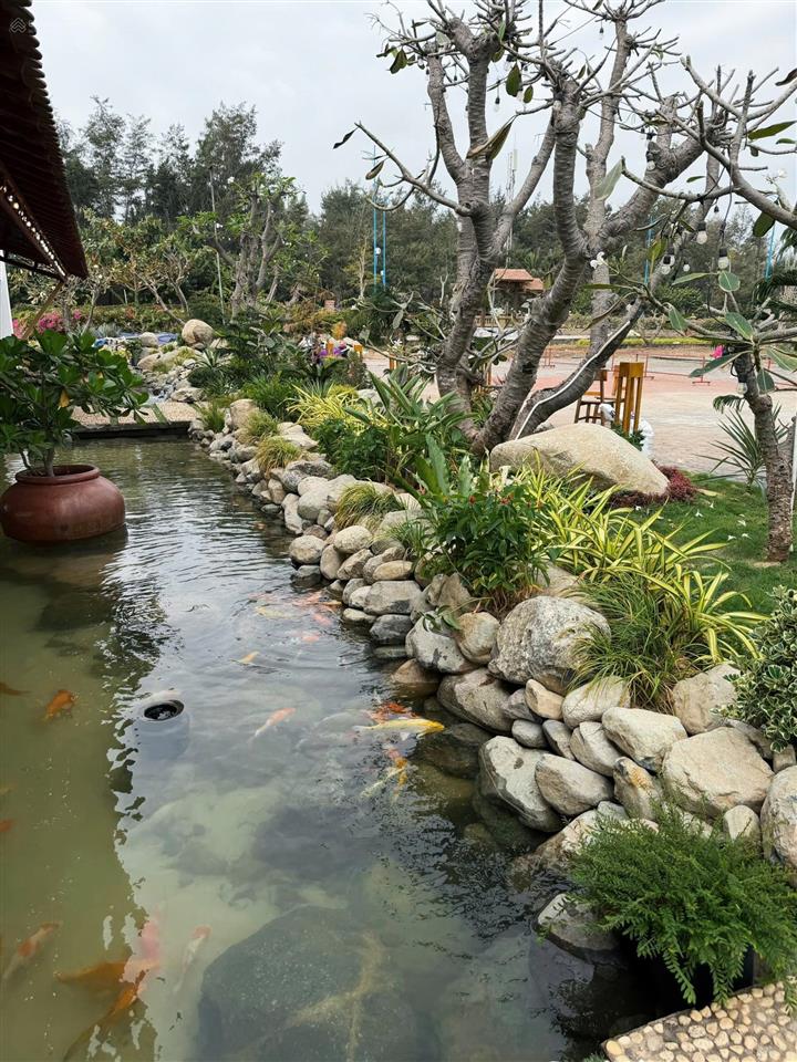 Sang nhượng siêu nhà hàng góc view biển đẹp resort long cung vũng tàu hđ siêu rẻ 30tr/tháng