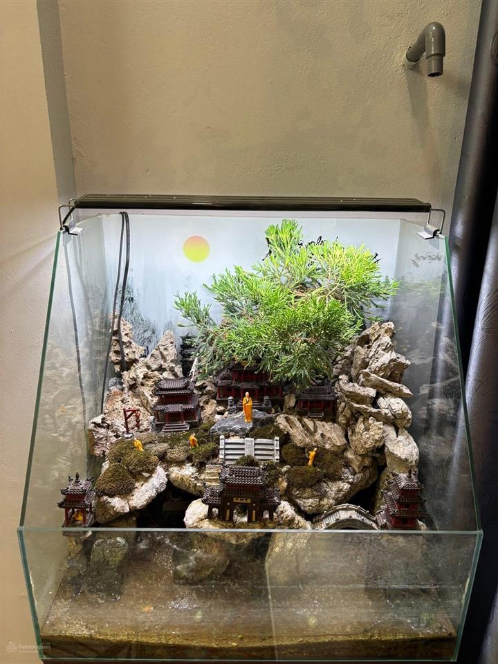 Siêu phẩm thái thịnh, mặt ngõ ô tô tránh, kinh doanh, 50m ra mặt phố, ngõ thông, nhà dân xây, 34m2