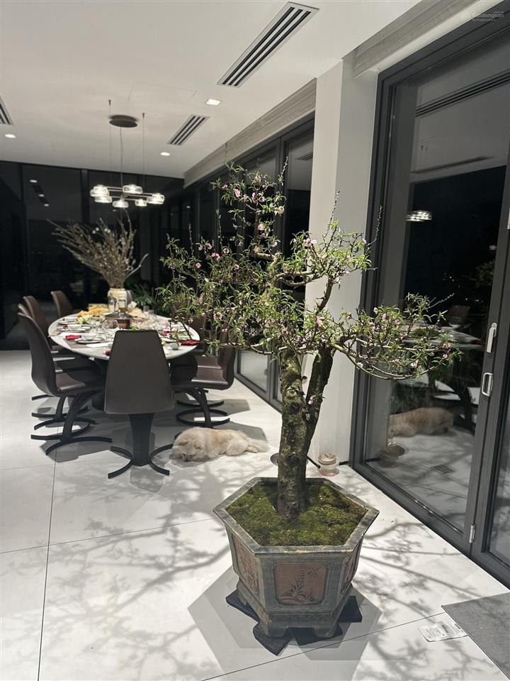 Chủ gửi bán căn hộ penhouse tại kosmo tây hồ, 350m2 thiết kế 4n+14w, có sân vườn, sẵn sổ, full đồ.