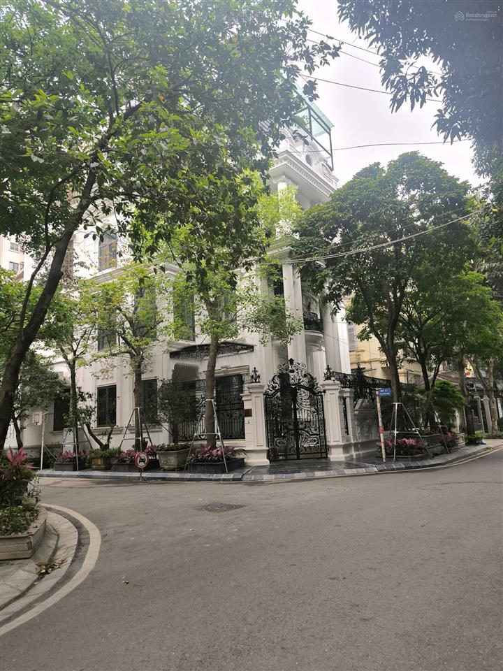 Biệt thự lô góc kinh doanh phố nguyễn cơ thạch, mỹ đình dt 160m mt 30m xây 4t trục chính kinh doanh