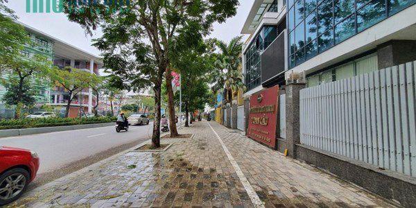 Mặt phố lạc long quân kinh doanh sầm uất vỉa hè đá bóng dt 90m mặt tiền 9m xây 5t 54,5 tỷ tl