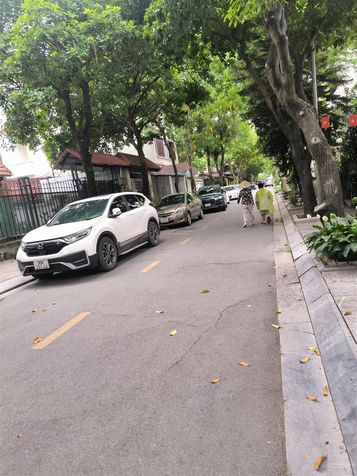 Hiếm, biệt thự lão thành cách mạng kdt yên hoà cầu giấy diện tích 205m mặt tiền 14m xây 4 tầng