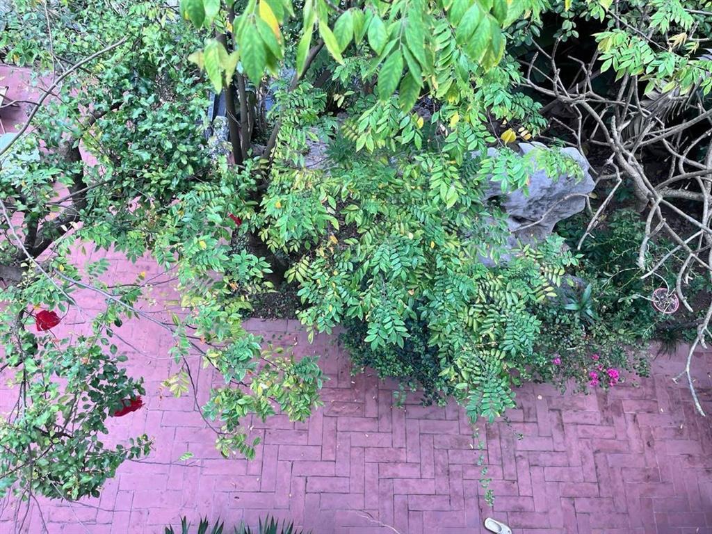 Biệt thự sinh thái vinhomes riverside long biên view sông đẳng cấp hàng hiệu dt 310m mt 10m xây 3t