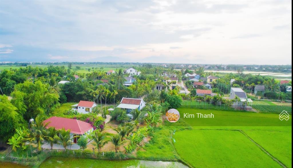 Bán nhà mặt tiền lý thái tổ hội an 904m² giá 79 tỷ view lúa phía sau hiếm có