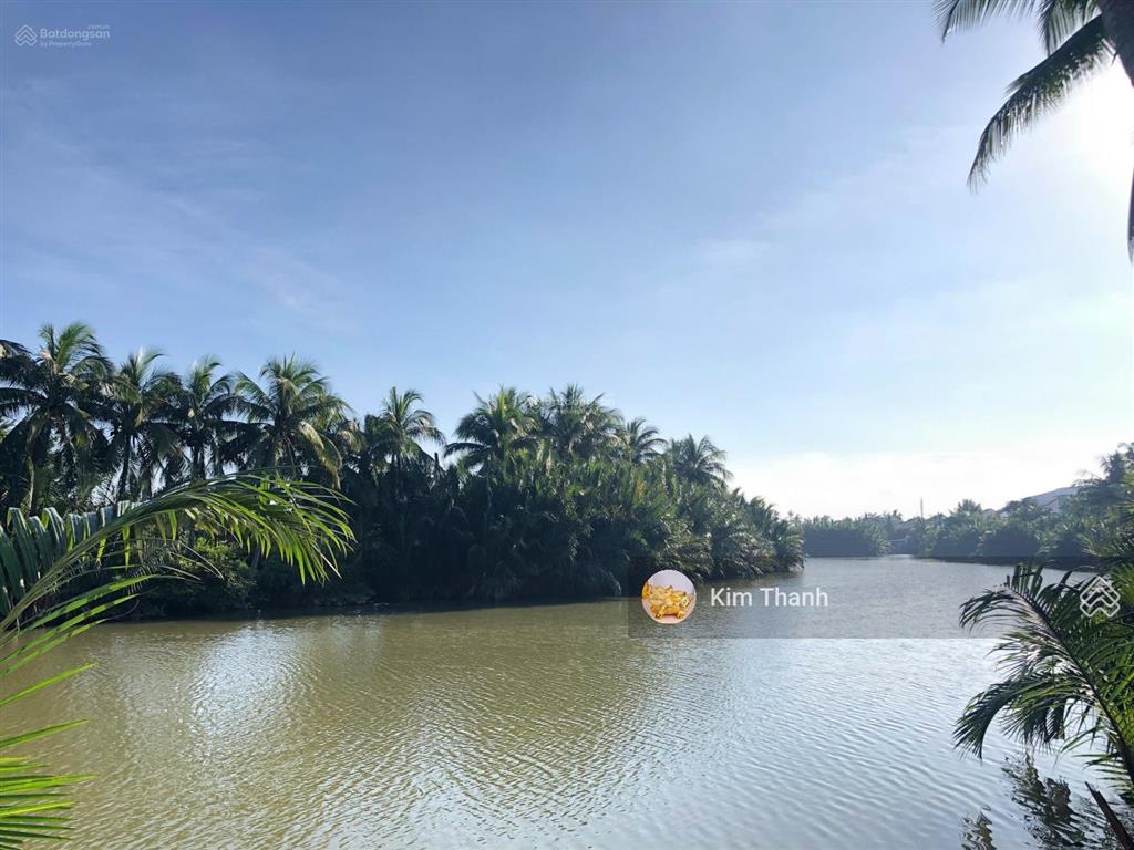 Cần bán đất mặt tiền đường cửa đại view sông, view lúa hội an, vị trí đắc địa nhất hội an