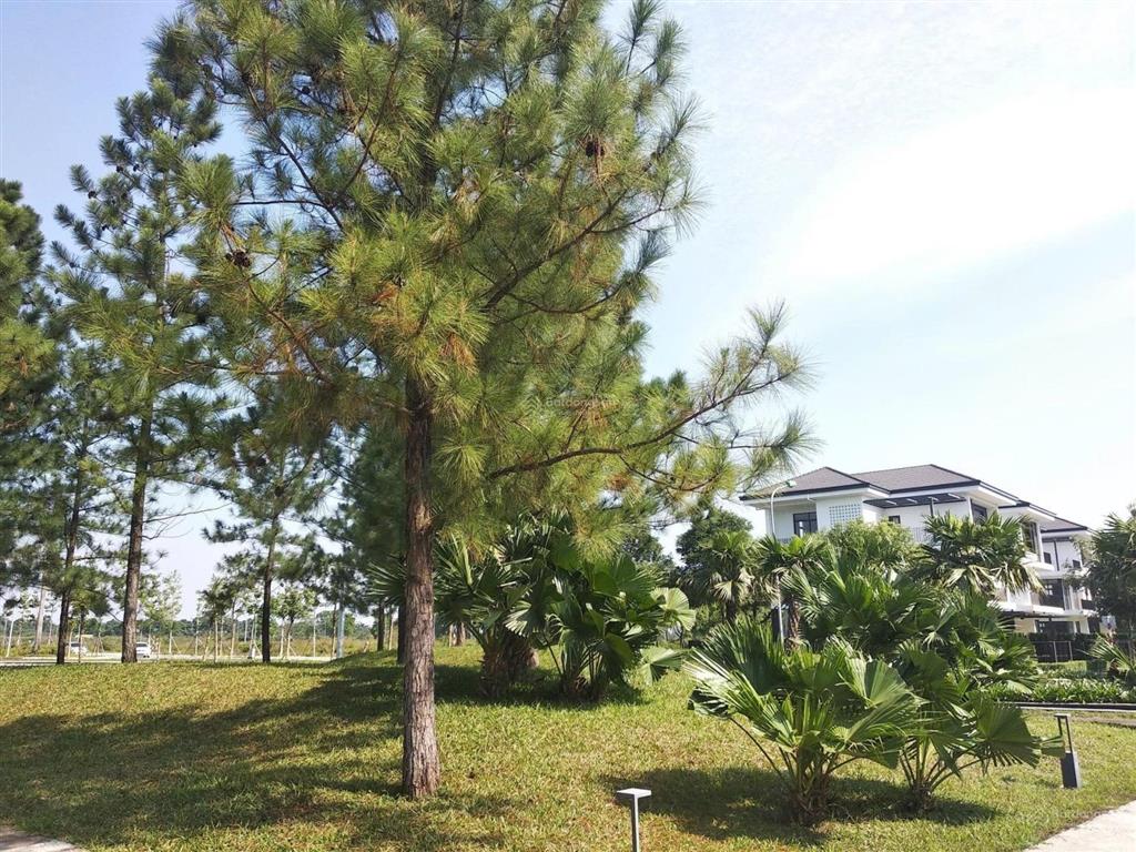 Bán gấp căn liền kề hà đô charm villas diện tích 97m2 giá 22ty  em 0773 286 ***
