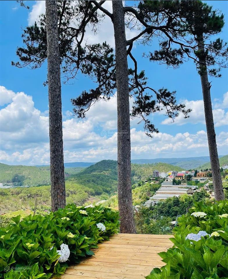 Bán đất tại hoàng hoa thám, p 10, đà lạt, view thông vĩnh viễn 48 tỷ vnd, 748 m2 (300m2 odt)