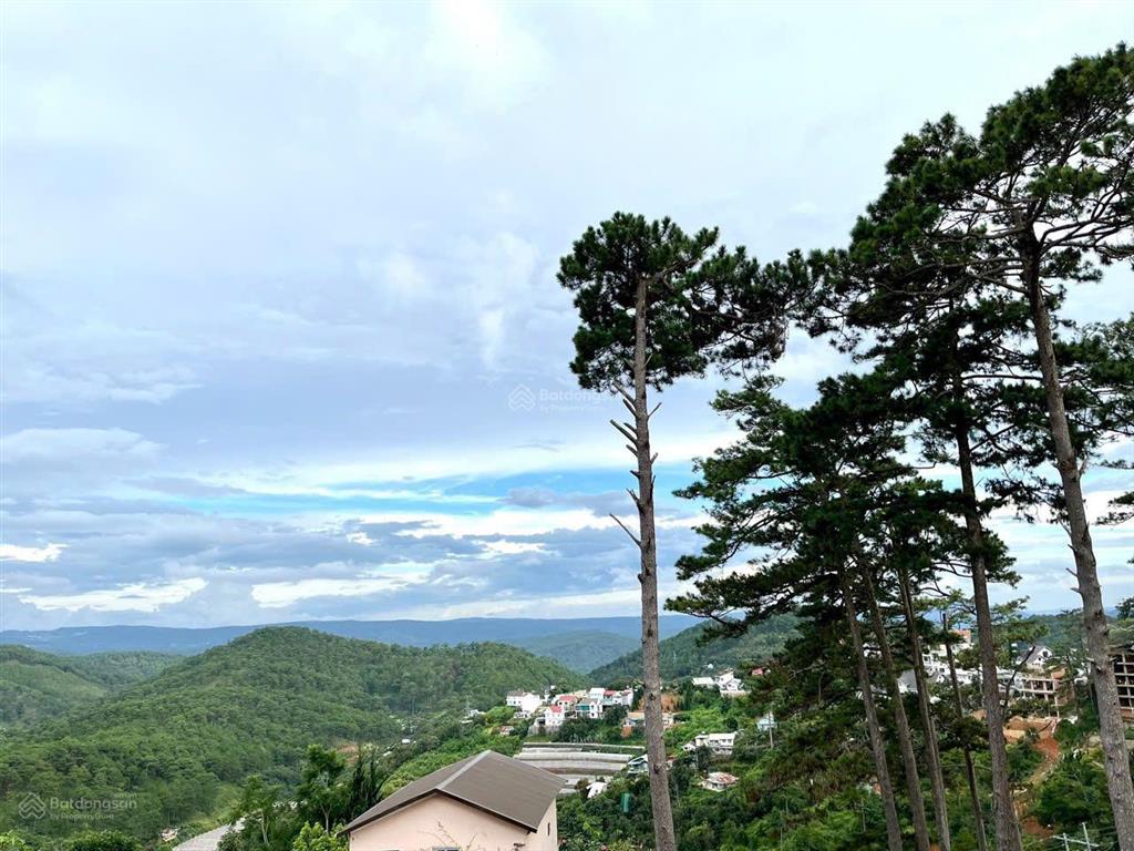Bán đất tại hoàng hoa thám, p 10, đà lạt, view thông vĩnh viễn 48 tỷ vnd, 748 m2 (300m2 odt)