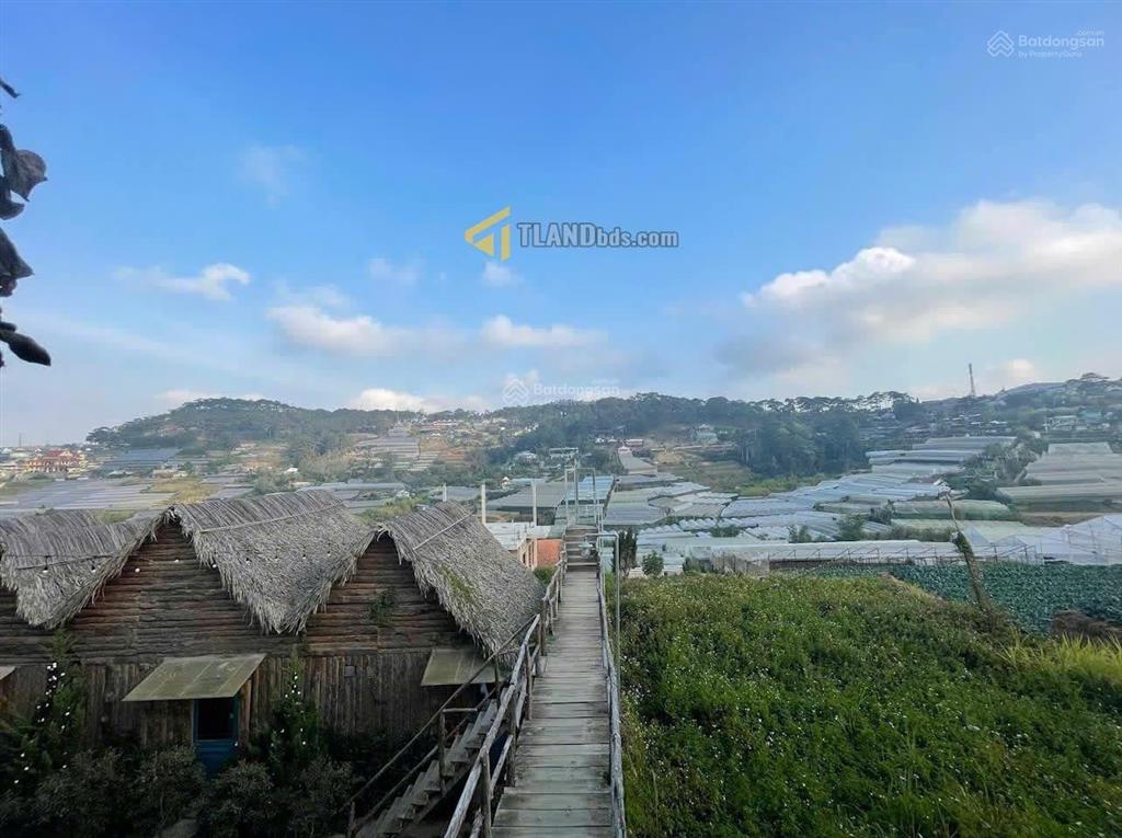 Cần bán gấp lô đất mặt tiền trịnh hoài đức, giá tốt nhất thị trường 1765m2, giá 32 tỷ