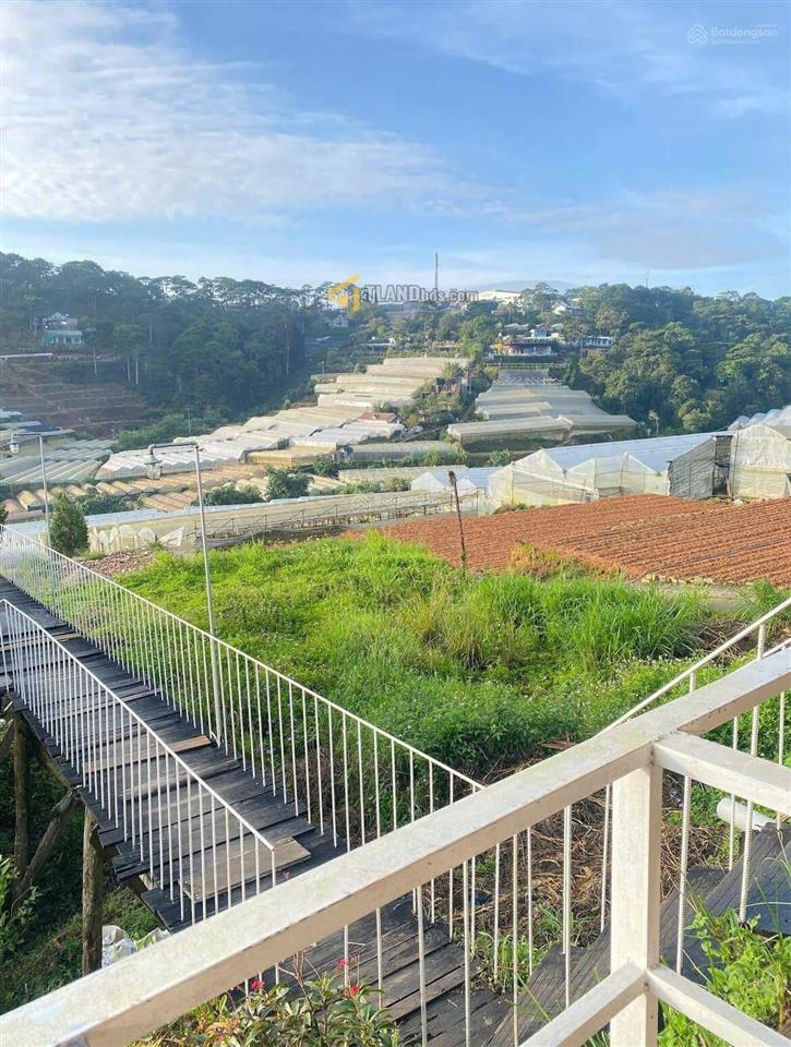 Cần bán gấp lô đất mặt tiền trịnh hoài đức, giá tốt nhất thị trường 1765m2, giá 32 tỷ