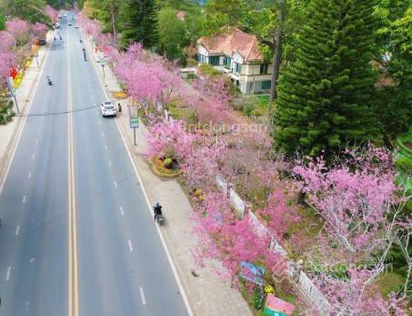 Gia đình đi định cư cần bán gấp đất trung tâm đà lạt, 1600m2 cách hồ xuân hương 1km, phạm hồng thái