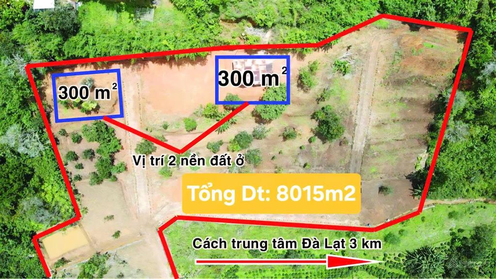 Chủ nhà lớn tuổi hạ giá bán gấp lô đất khe sanh đà lạt, view thông xanh 8015m2 có 600m2 odt 4tr/m2