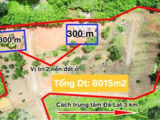Chủ nhà lớn tuổi hạ giá bán gấp lô đất khe sanh đà lạt, view thông xanh 8015m2 có 600m2 odt 4tr/m2