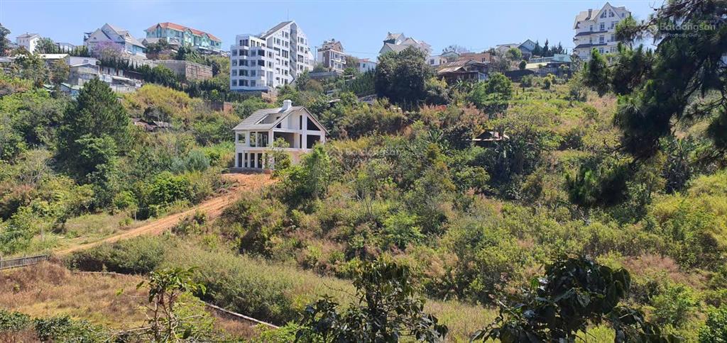 Chủ nhà lớn tuổi hạ giá bán gấp lô đất khe sanh đà lạt, view thông xanh 8015m2 có 600m2 odt 4tr/m2