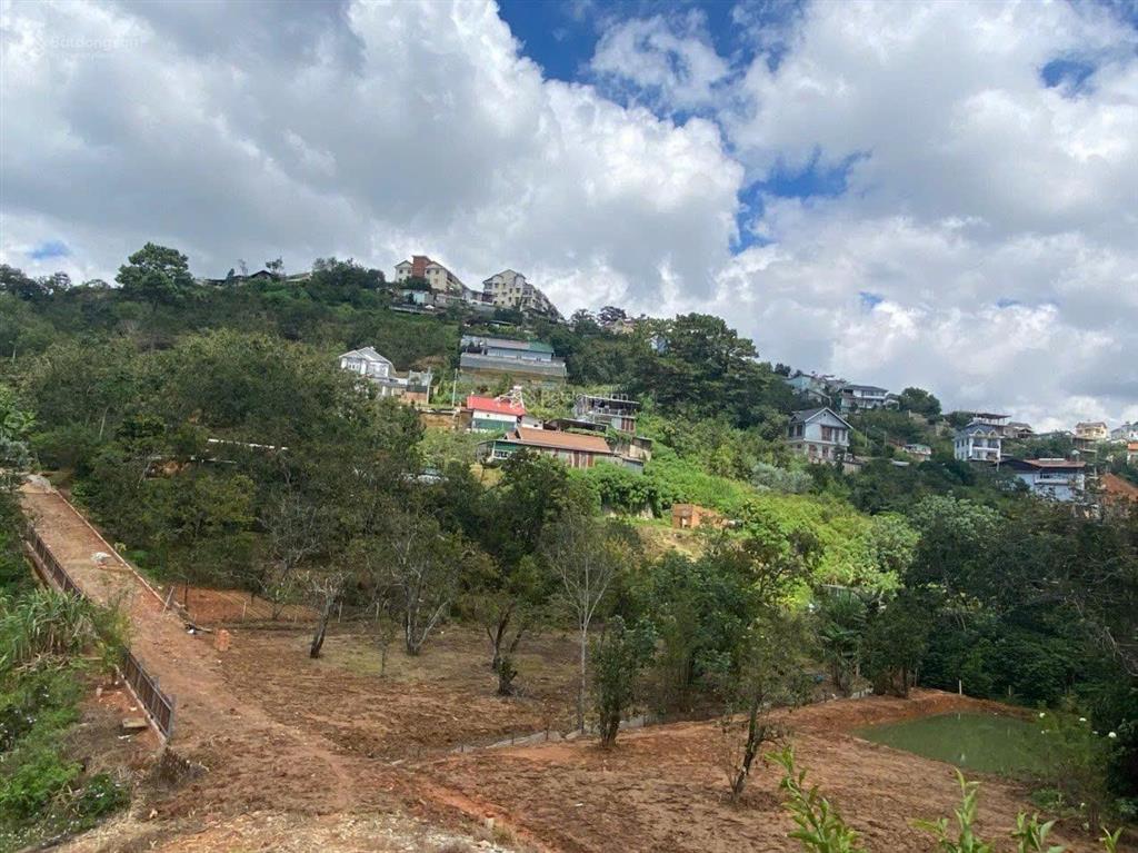 Chủ nhà lớn tuổi hạ giá bán gấp lô đất khe sanh đà lạt, view thông xanh 8015m2 có 600m2 odt 4tr/m2