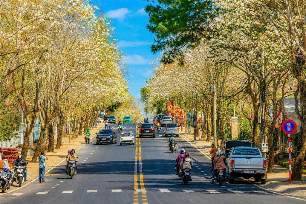 Bán lô đất mặt tiền quang trung siêu hiếm, 420m2 ngang 14,5m cách hồ xuân hương 1km giá 48 tỷ