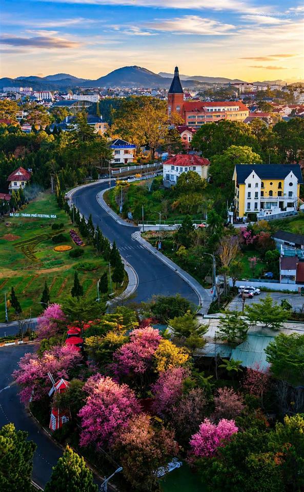 Bán lô đất mặt tiền quang trung siêu hiếm, 420m2 ngang 14,5m cách hồ xuân hương 1km giá 48 tỷ