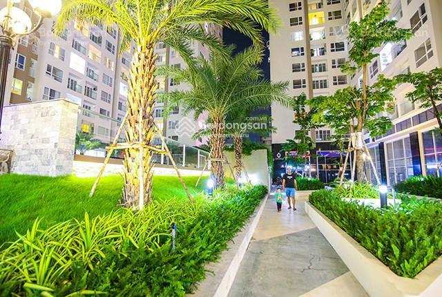 Chính chủ cho thuê cc sky center, dt 50m2, 1pn, view đẹp, giá 13tr/th  0902 666 ***