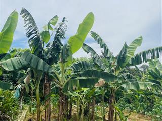 Chính chủ bán đất 62,9m2 full thổ cư gần tđc linh sơn gần đhqg, fpt giá chỉ 2 tỷ