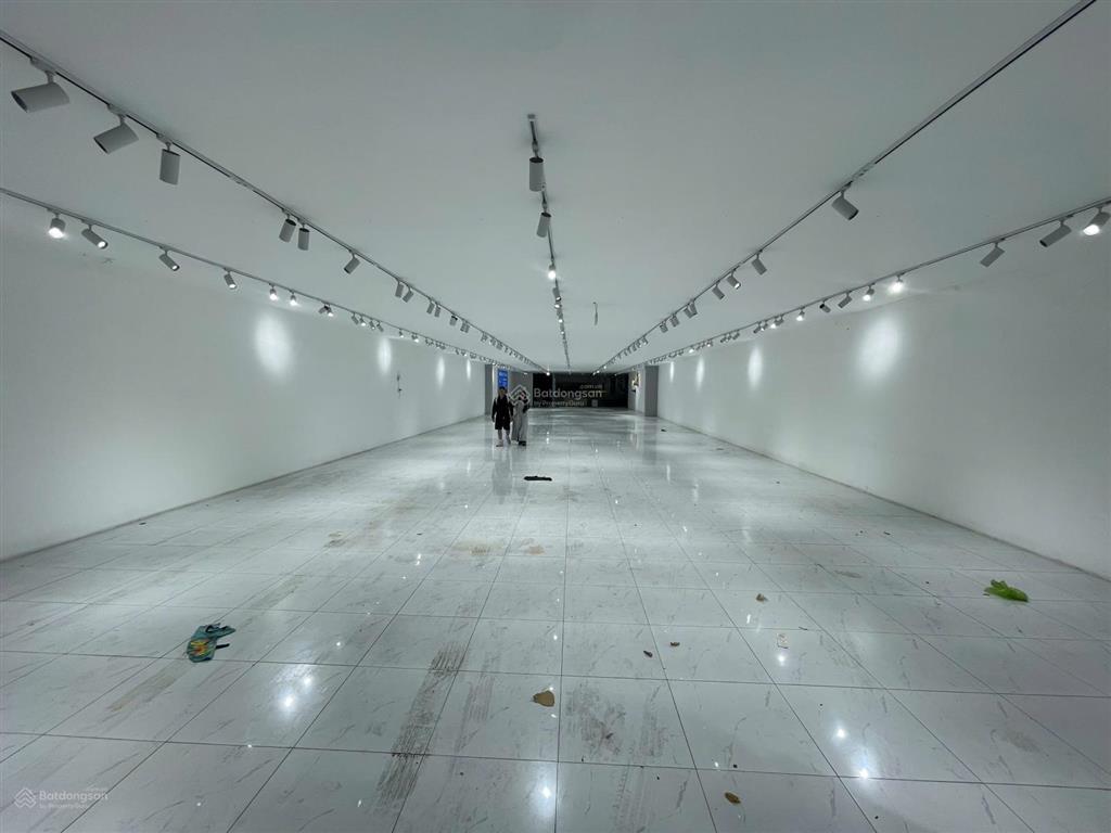 Mặt tiền trường chinh ( ngay cầu tham lương )  21x53m  trệt lửng  giá 70 triệu/căn  0705 214 ***
