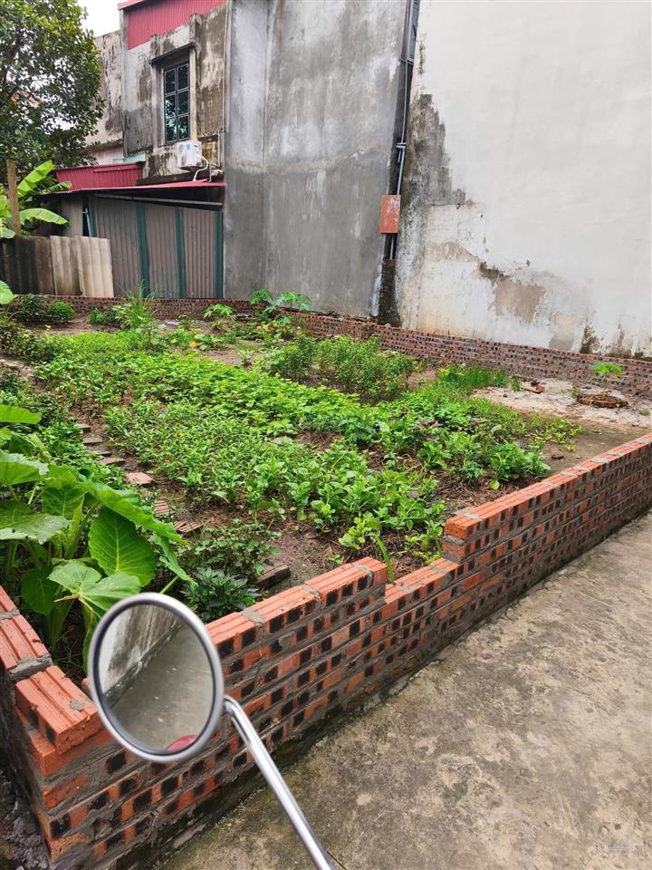 Bán đất du nội  mai lâm đông anh 80m  mặt tiền rộng  vị trí đẹp