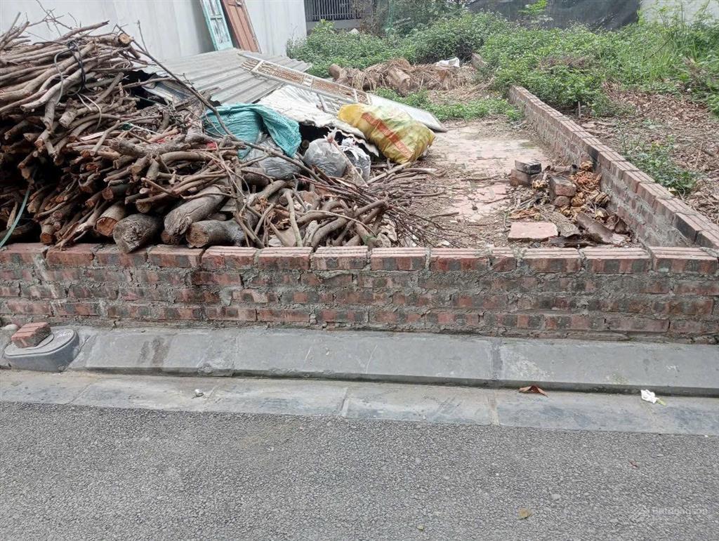 Bán đất xóm gà  cổ loa  đông anh  hà nội  giá bán 4.850 tỷ.  diện tích 54.5m2