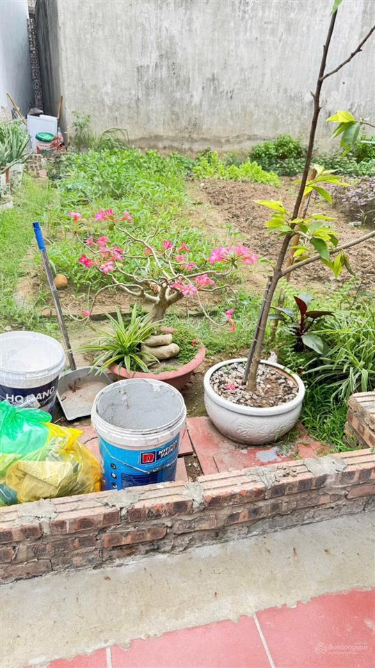Siêu rẻ! bán lô đất 58m2 lê xá mai lâm đông anh nhỉnh 5tỷ