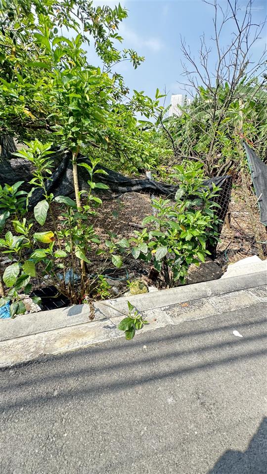 Chính chủ cần bán lô đất ngay tt triển lãm quốc gia nhỉnh 6 tỷ tại đông trù, đông hội, đông anh