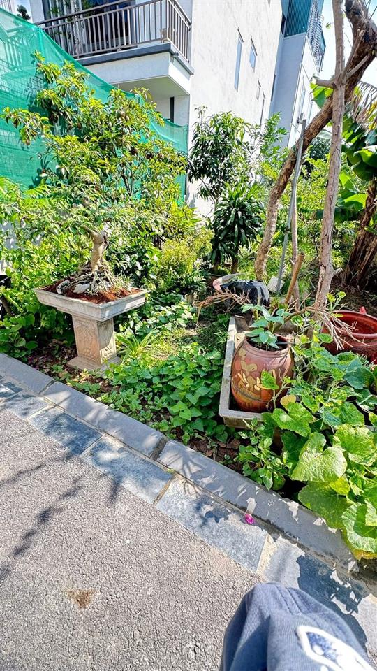 Siêu phẩm hoa hậu trục chính phúc thọ mai lâm đông anh nhỉnh 5tỷ oto đỗ cửa 5p ra cầu đông trù