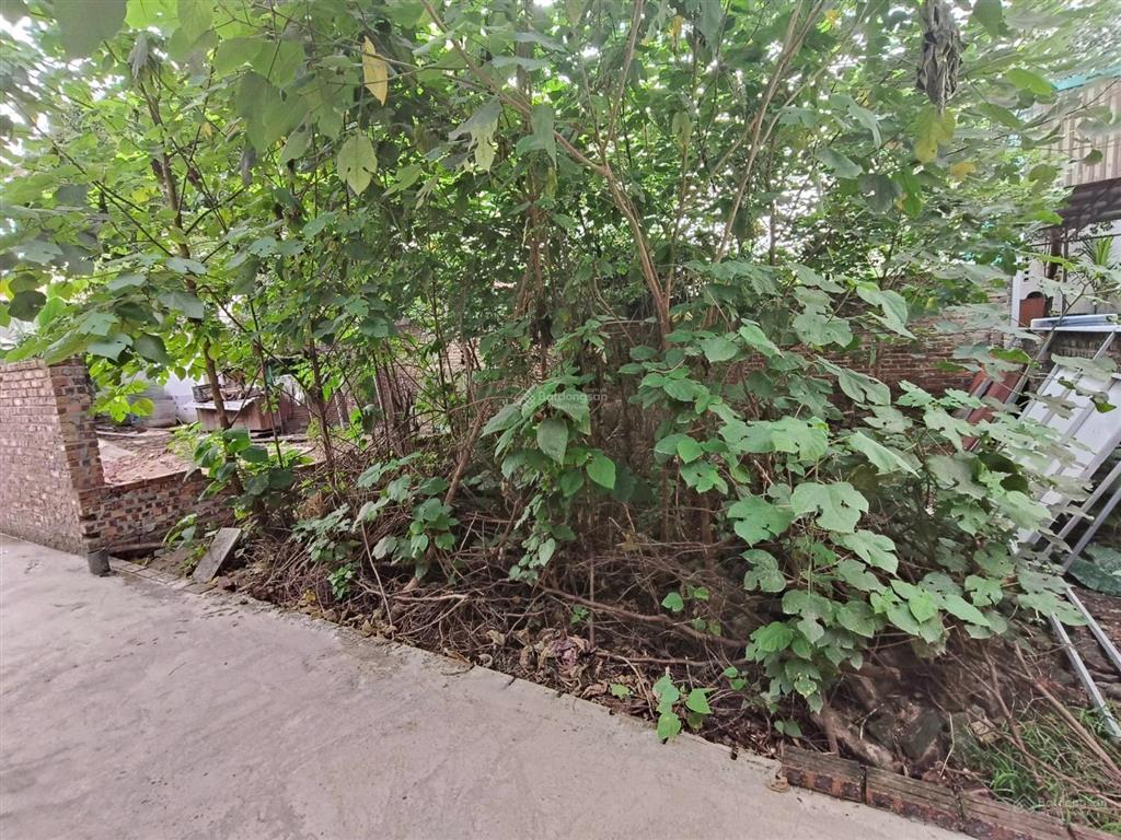 Hàng cực hiếm tại đông anh chính chủ gửi bán mảnh đất cực đẹp tại thôn đông trù, xã đông anh